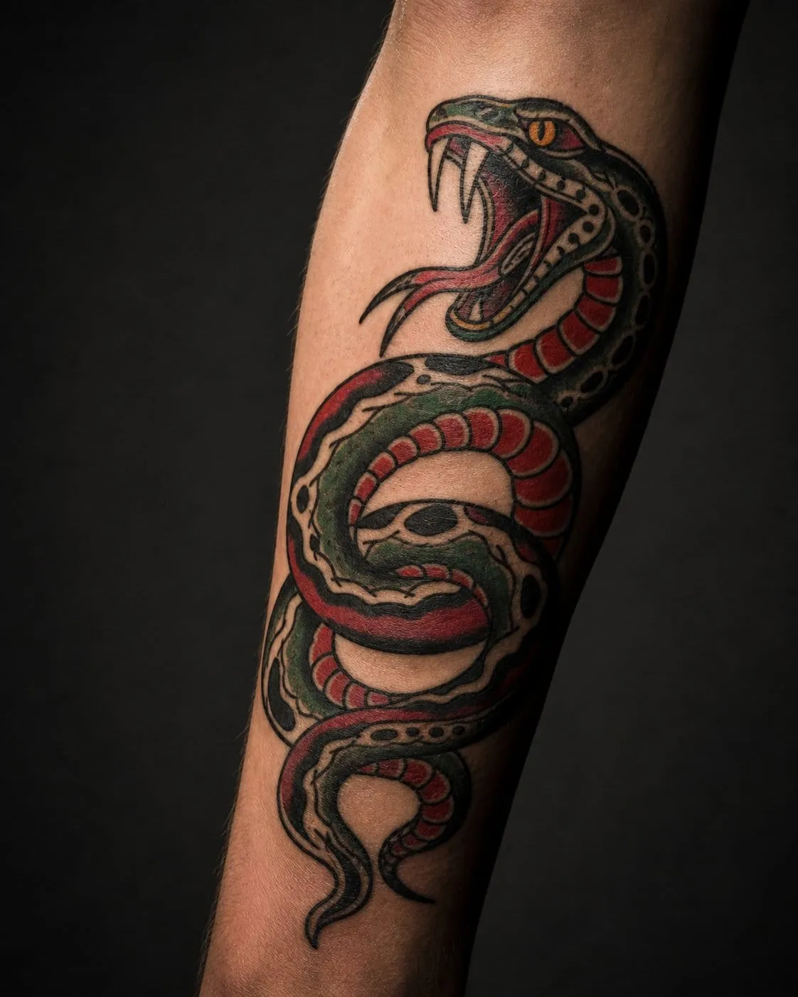 American traditional coiled snake tattoo with bold black outlines and flat red and green color on a forearm.